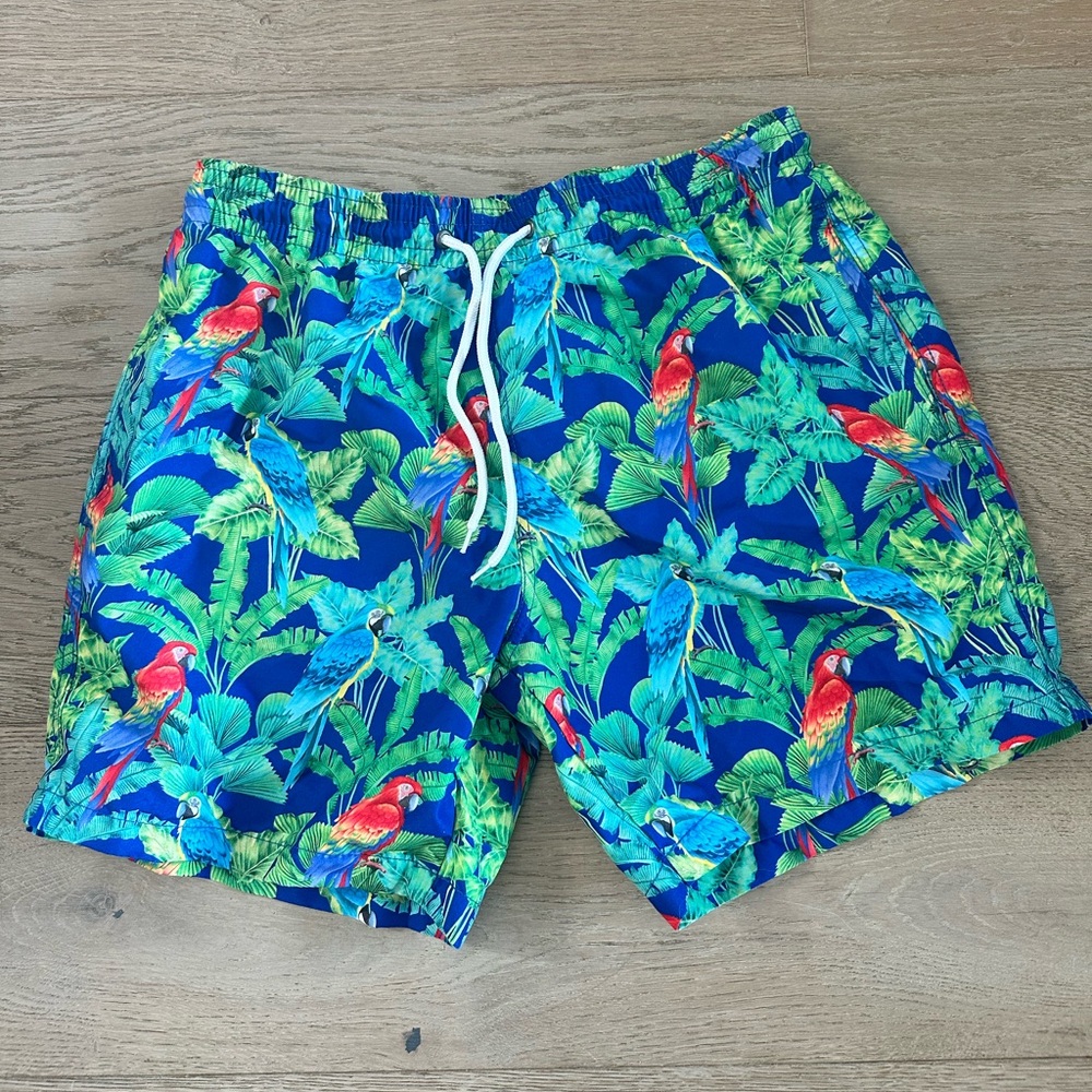 Tropical Hawaiian Red & Blue Parrot Print Men's Swim Trunks